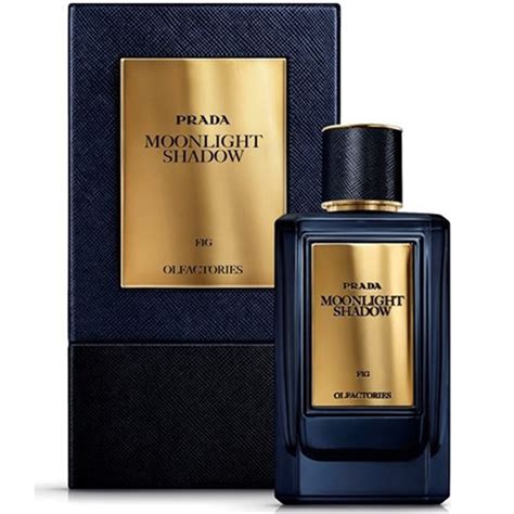 Prada olfactories moonlight shadow